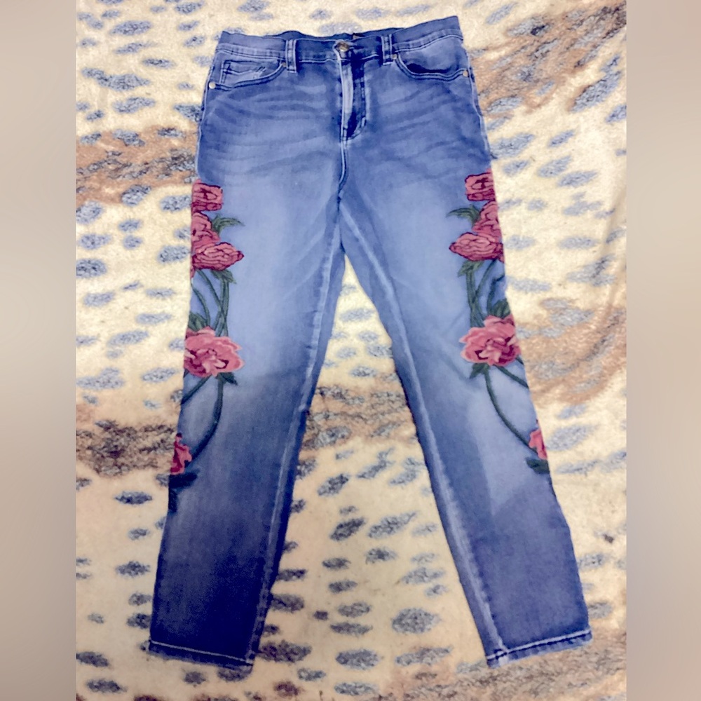 DG2 by Diane Gilman pants.